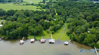 10 Scenic Dr, Hollywood, AL 35752