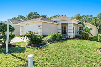 5231 Gato Del Sol Cir, Wesley Chapel, FL 33544