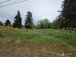 513 138th St S, Parkland, WA 98444