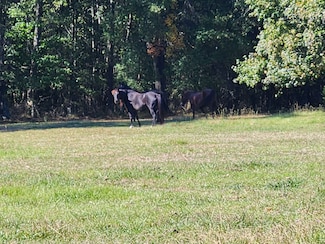 0 Old Alto Hwy Unit RTC3039048, Decherd, TN 37324