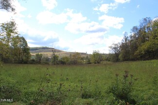 Tbd Middle Wallens Creek Rd, Clinchport, VA 24244
