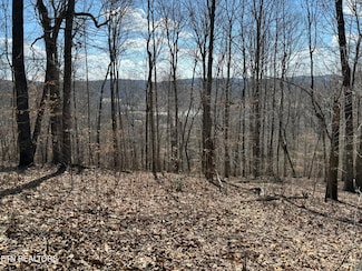 0 Rd, Sharps Chapel, TN 37866