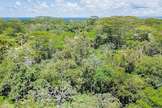 0 S Nenue St Unit 725902, Pahoa, HI 96778