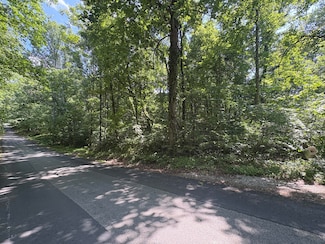 0 Prunty Dr, Salem, VA 24153