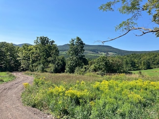 0 County Route 20 Unit 156625, Durham, NY 12422