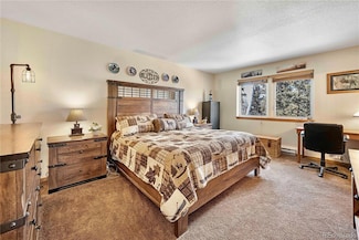 47 Piaute Way, Como, CO 80432