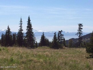 L14 Elata Ave, Fritz Creek, AK 99603