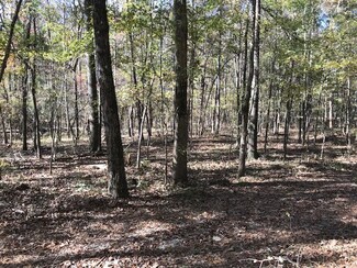 662 Lee Road 84, Auburn, AL 36830
