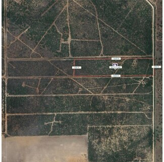 0 Cr 308 Unit 445498, Benavides, TX 78341