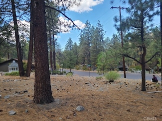 0 Lodgepole Dr Unit OC25149079, Wrightwood, CA 92397