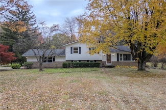 698 Albert Horning Rd, Atwater, OH 44201