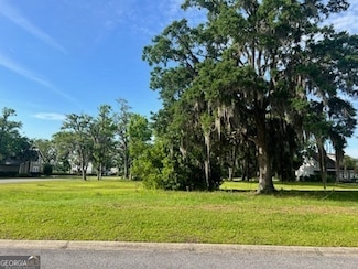 LOT 48 Maiden Creek Dr, Waverly, GA 31565