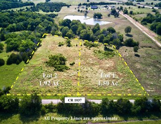 Lot 2 Cr 1037, Celeste, TX 75423