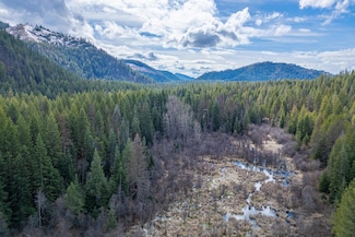 xxx Grouse Creek Rd, Loon Lake, WA 99148