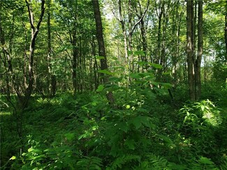 215 Green Lick Hollow, Bullskin Township, PA 15666