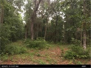 2153 Sutherland Rd, Shellman Bluff, GA 31331