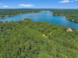 000 McCoy Pointe Dr, Arley, AL 35541