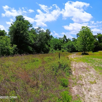 0 W Fort Rd, Greenwood, FL 32443