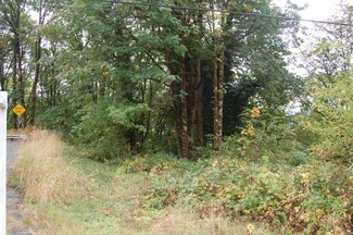 1 Merwin Village Rd, Woodland, WA 98674
