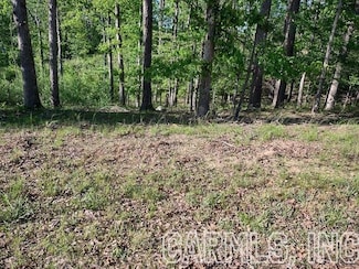 825 Independence Dr, Hot Springs, AR 71913