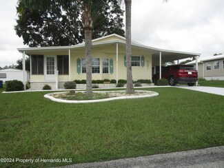8091 Montrose Ave, Brooksville, FL 34613