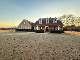 4239 Acr 403, Palestine, TX 75803