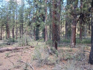 0 Oriole Dr Unit Lot 13 220186583, Bonanza, OR 97623
