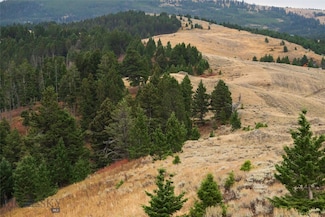 20 ac Alpine Springs Trail, Livingston, MT 59047