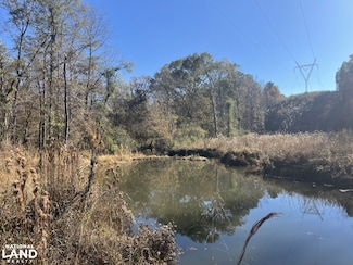 0 County Road 441, Wilsonville, AL 35186