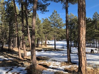 1T Cr 2115, Alpine, AZ 85920