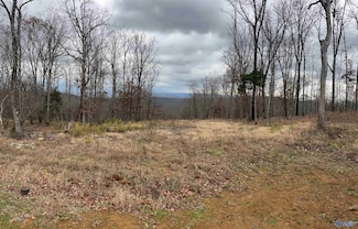 38 Watson Grande Way SE, Owens Cross Roads, AL 35763
