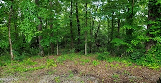 121 Ootsima Way, Loudon, TN 37774