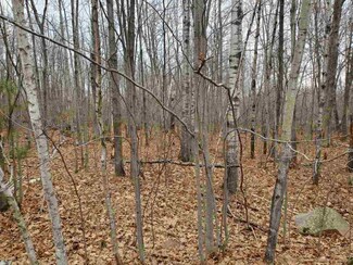 Lot 4 County Road Kk, Mosinee, WI 54455