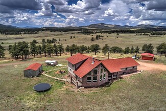 641 Old Kathleen Trail, Guffey, CO 80820
