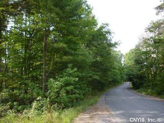 1 Peckham Rd, Watson, NY 13367