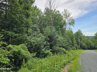 0 Robinson Hollow Way Unit 202521905, Stephentown, NY 12168