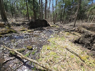 0WP, Afton, NY 13730