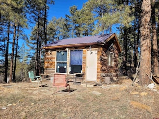 49 Quiet Ct, Pagosa Springs, CO 81147