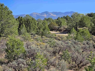 Tr B1 Tres Lomas Rd, Arroyo Hondo, NM 87529