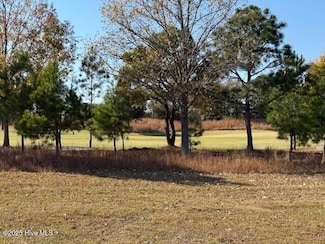 151 Pine Ridge Dr, Wallace, NC 28466