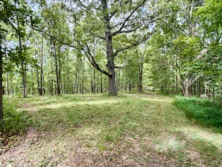 834 Lock 3 Rd, Batesville, AR 72501