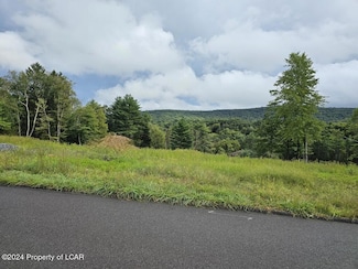 14 Cobblestone Ln, Shavertown, PA 18708