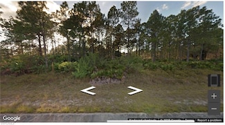 1307 Louis Ave, Lehigh Acres, FL 33972