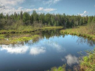 5391 Razorback Rd, Conover, WI 54519