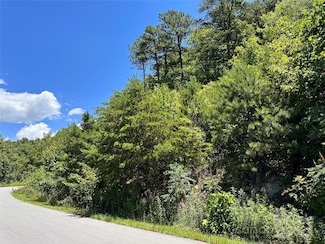 0 Grey Rock Pkwy Unit CAR4157229, Lake Lure, NC 28746