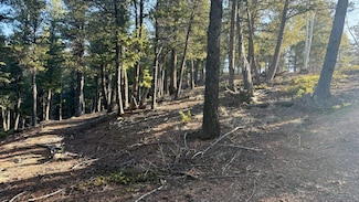 461 Paradiso Rd, Divide, CO 80814