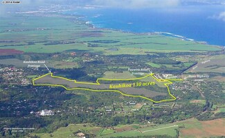 695 Kauhikoa Rd, Haiku, HI 96708