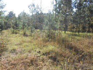 000 Wallace Rd, Cuba, AL 36907