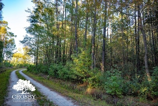 Tbd Lemon Rd, Walterboro, SC 29488