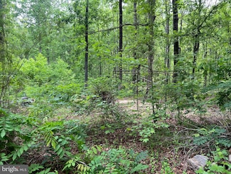 13012 Orange Plank Rd, Locust Grove, VA 22508